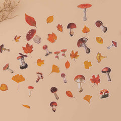 Tsuki Mixed Scrapbook Paper Pack ☾