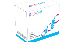 對(duì)蝦桿狀病毒（BP）DNA恒溫核酸檢測(cè)試劑盒（不含提?。? height='100'>
			</a>
		</figure>
		<h4 class=