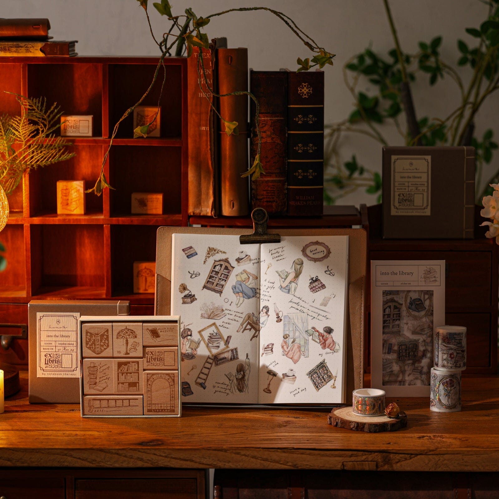 Hinoki 'Into the Library' Bundle