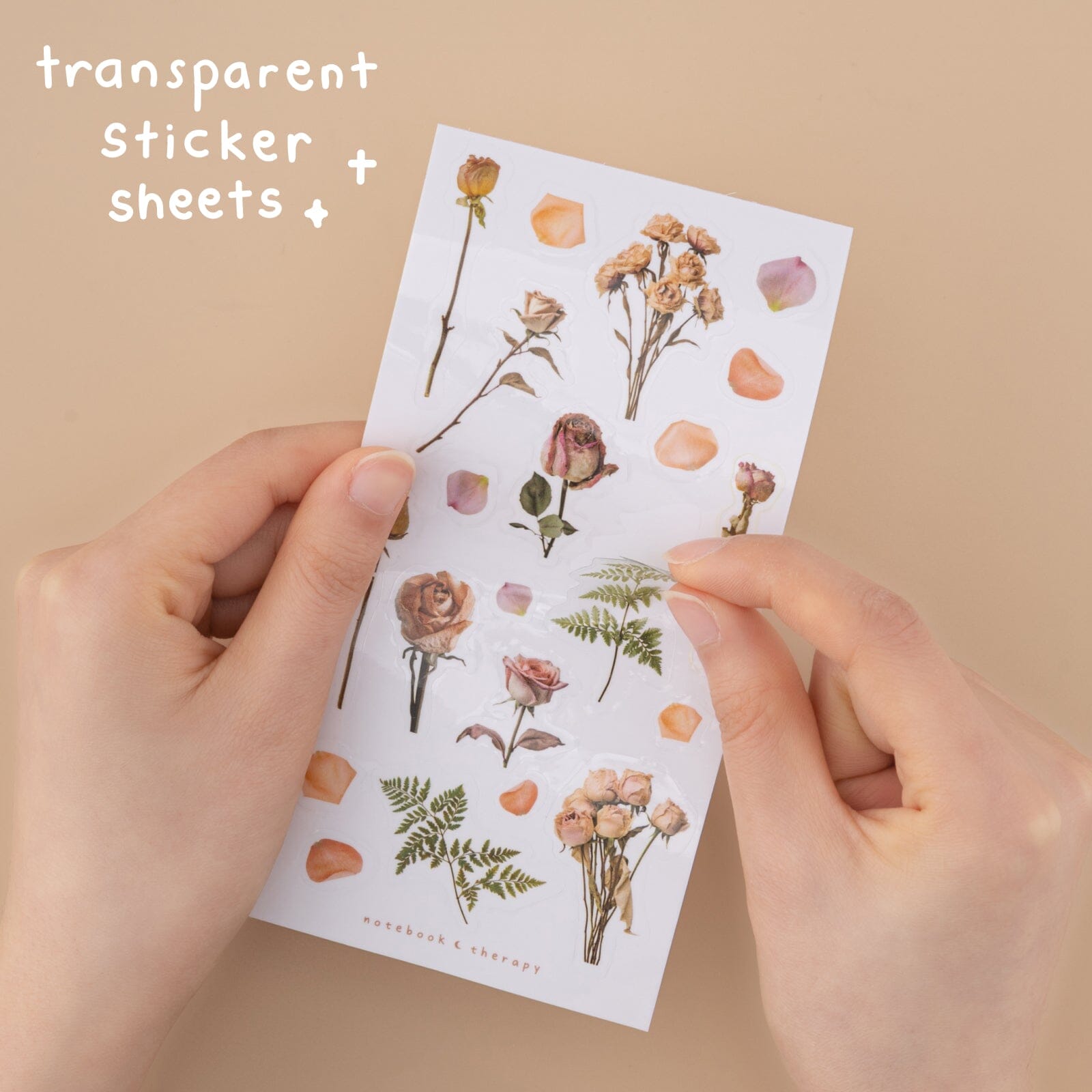 Tsuki 'Dried Flowers' Transparent Sticker Set ☾