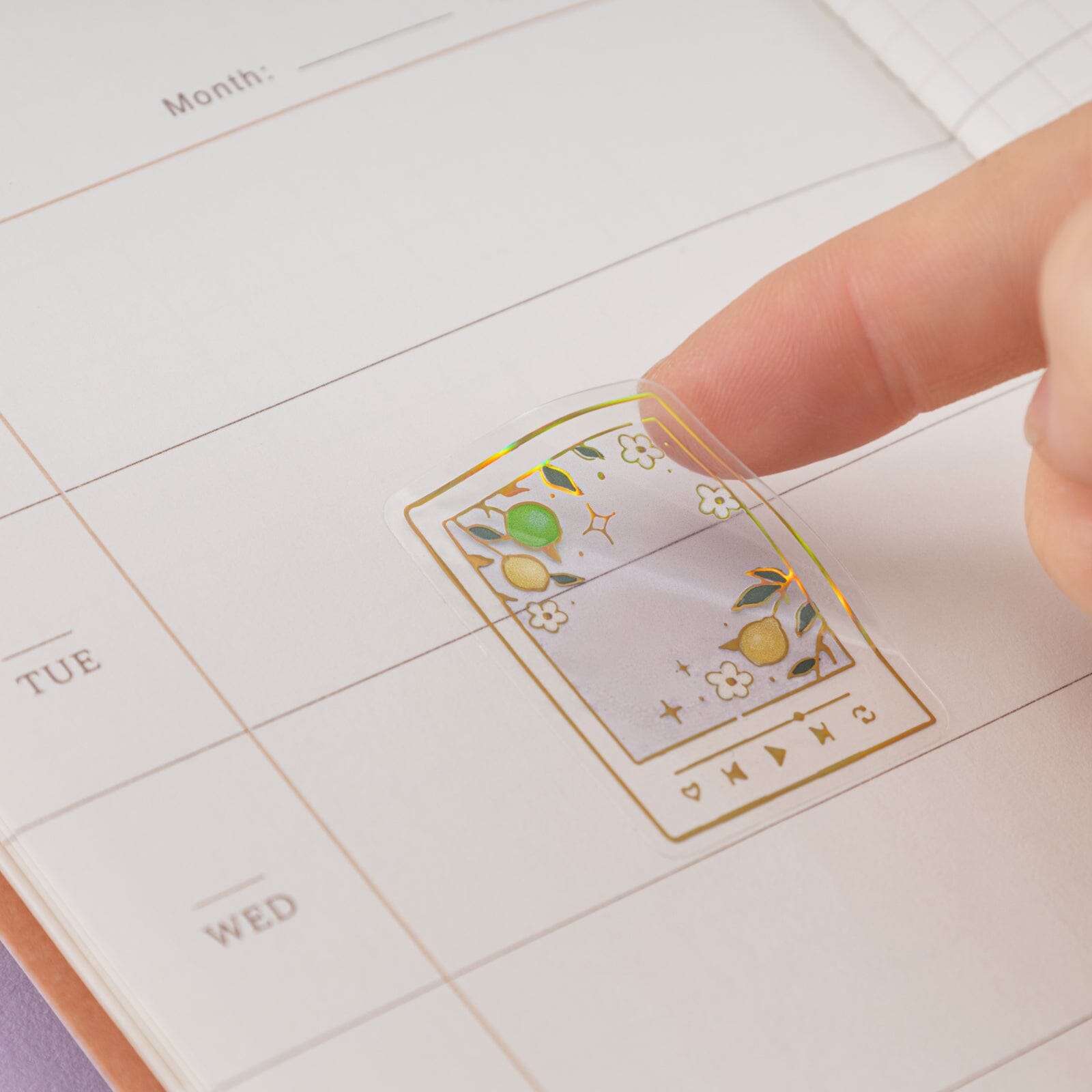 Tsuki Four Seasons: Summer Collector's Edition 2025 3D Holographic Sticker Set ☾