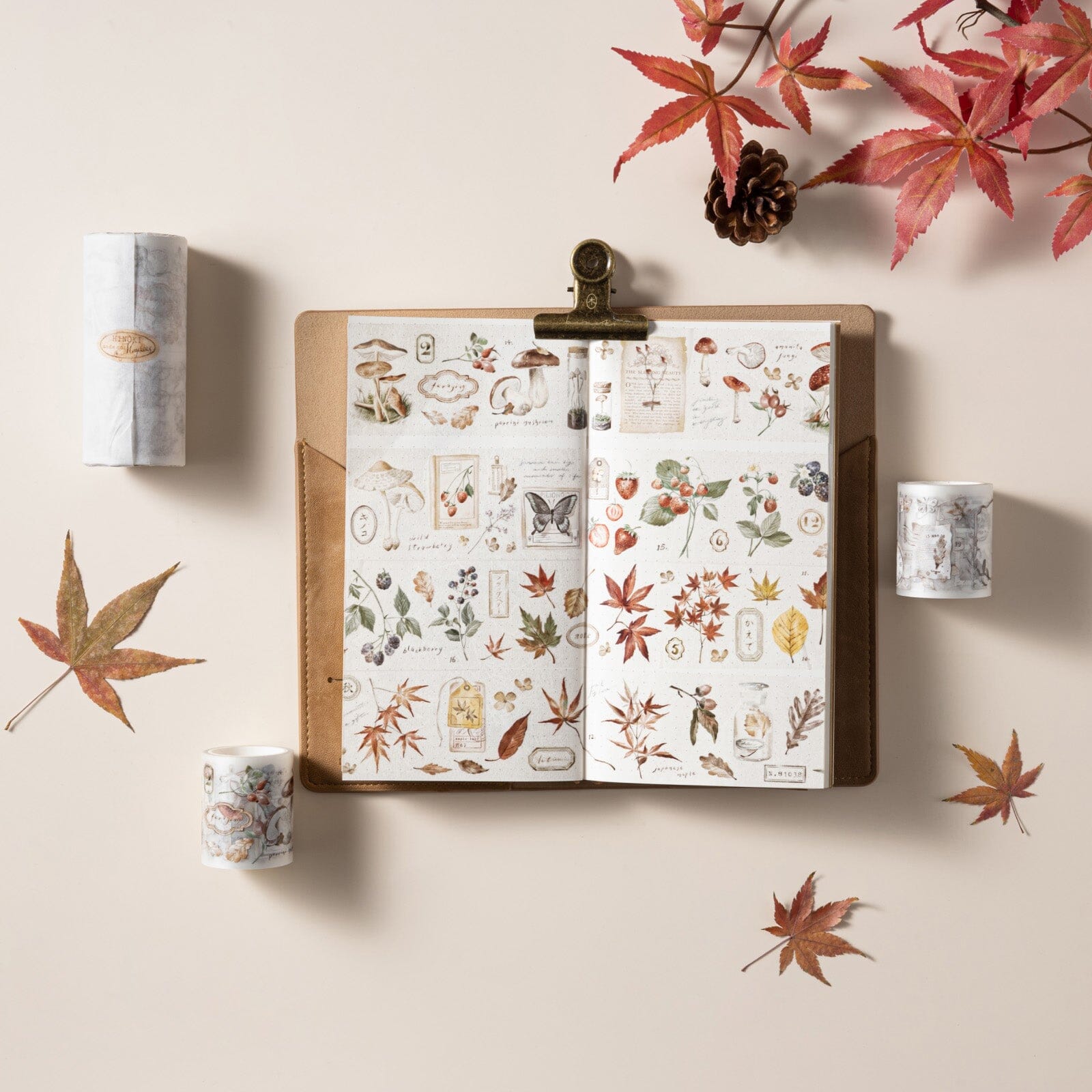 Hinoki - 'Into the Fall' Bundle #1 (exclusive)