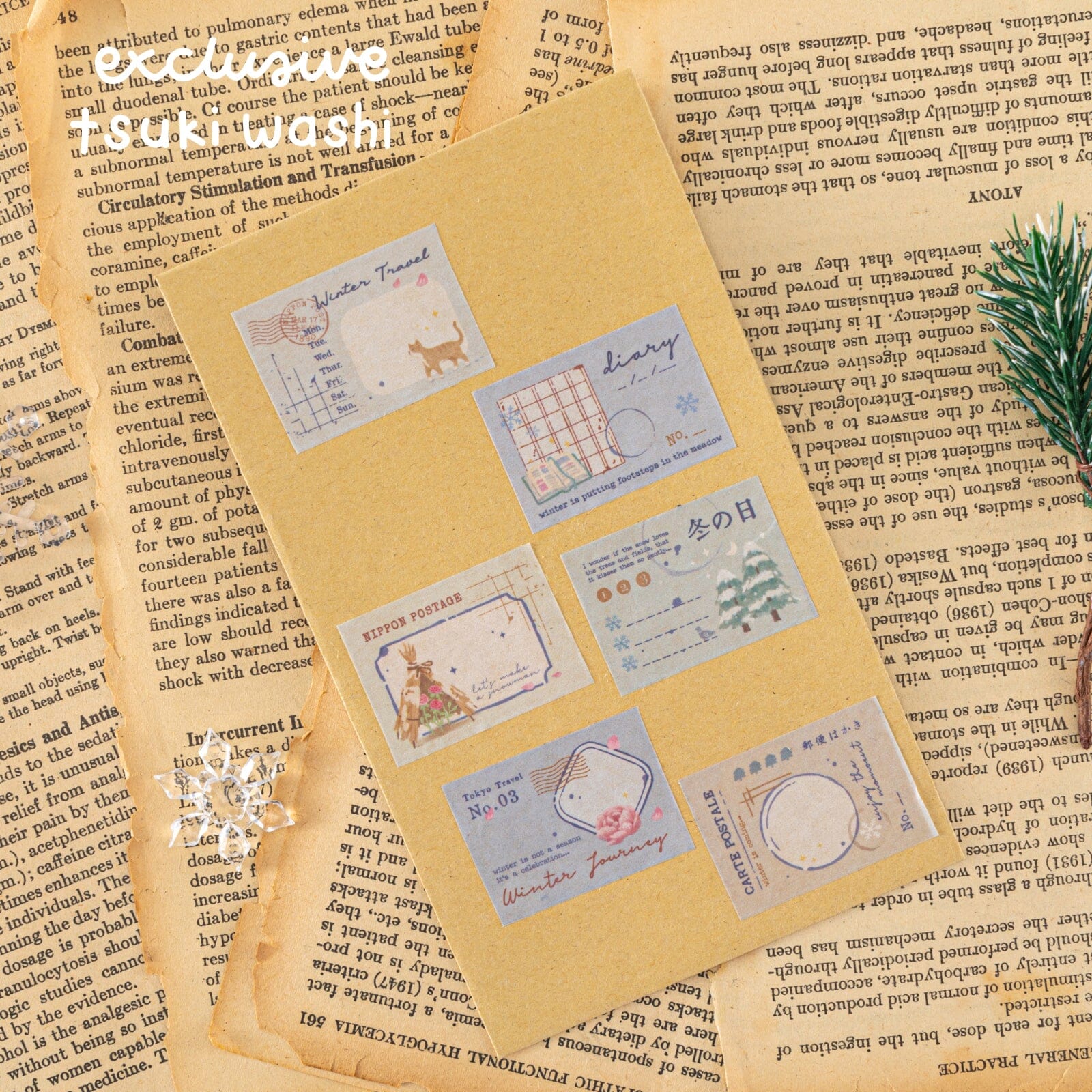 Tsuki 'Winter Journey' Bundle ☾