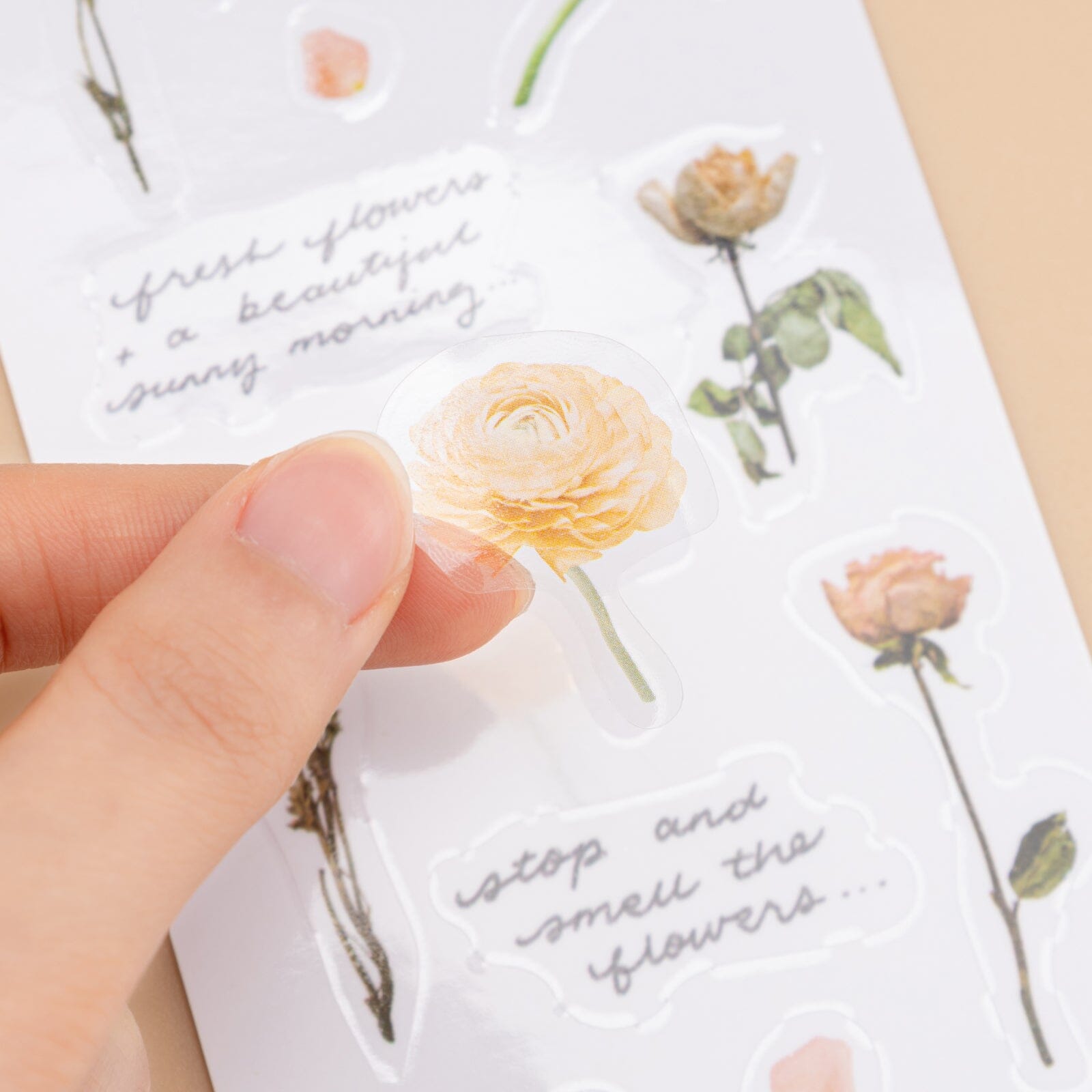 Tsuki 'Dried Flowers' Transparent Sticker Set ☾