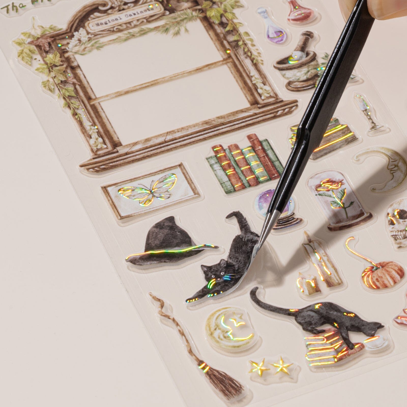 Hinoki 'Into the Enchantment' Bundle