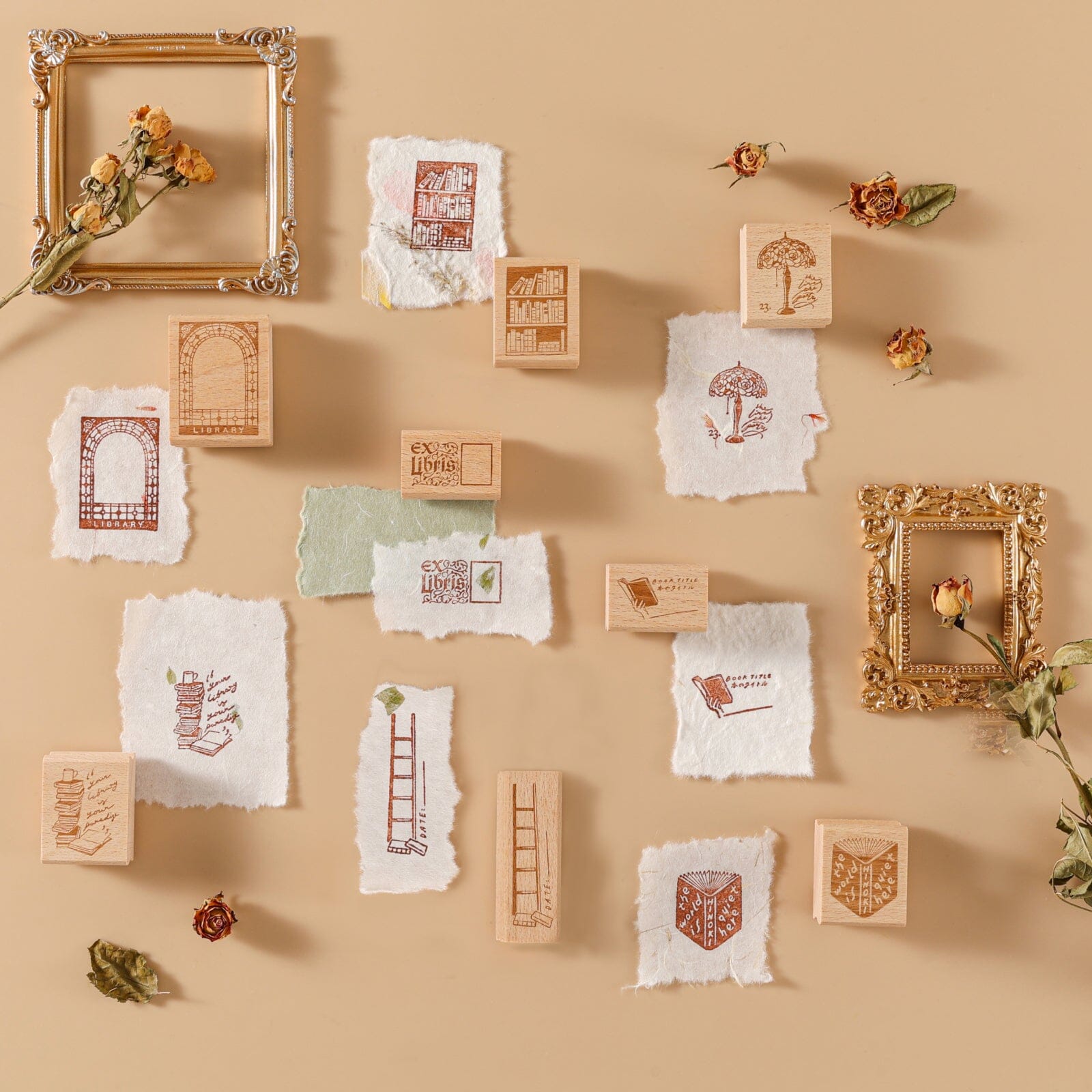 Hinoki 'Into the Library' Bundle