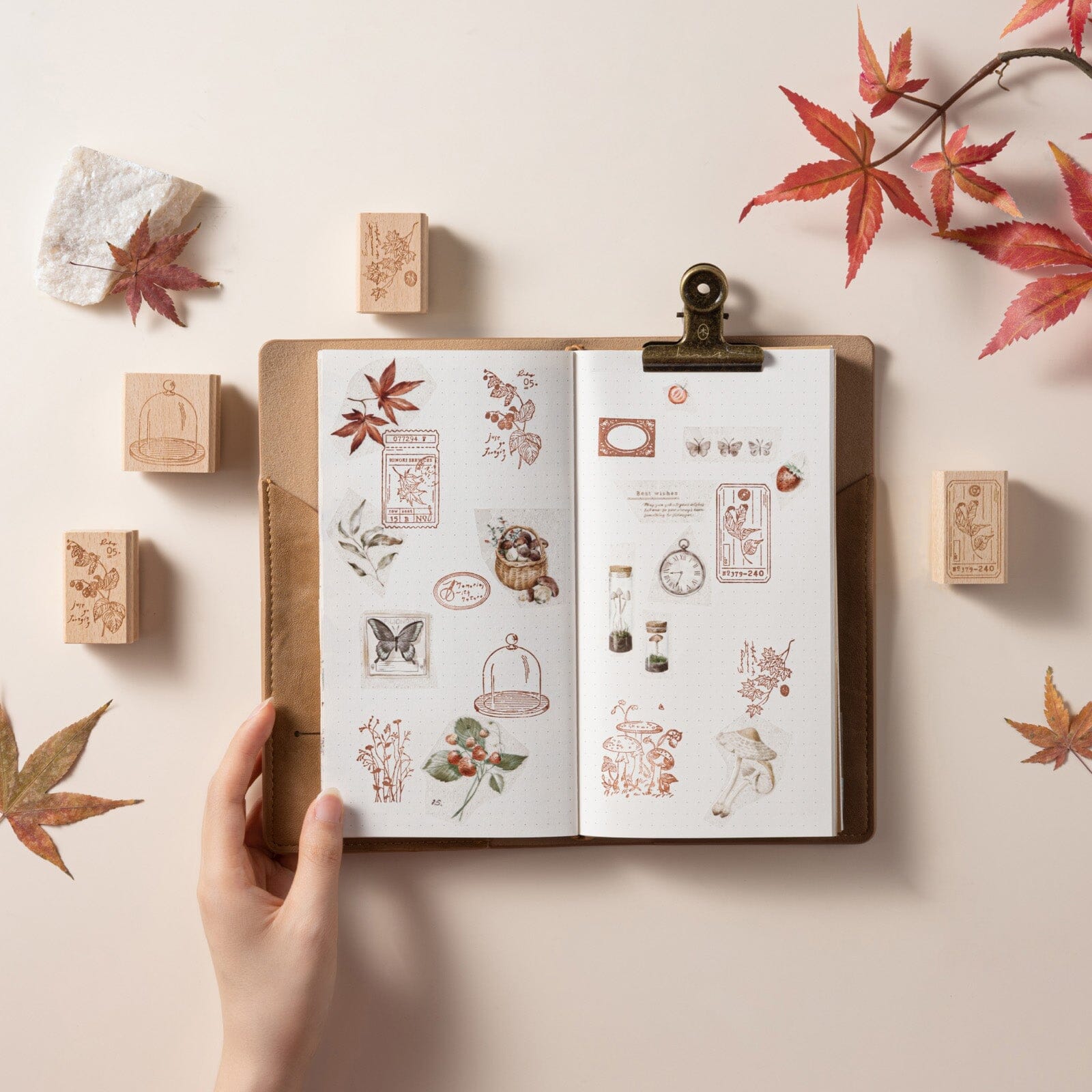Hinoki - 'Into the Fall' Bundle #1 (exclusive)