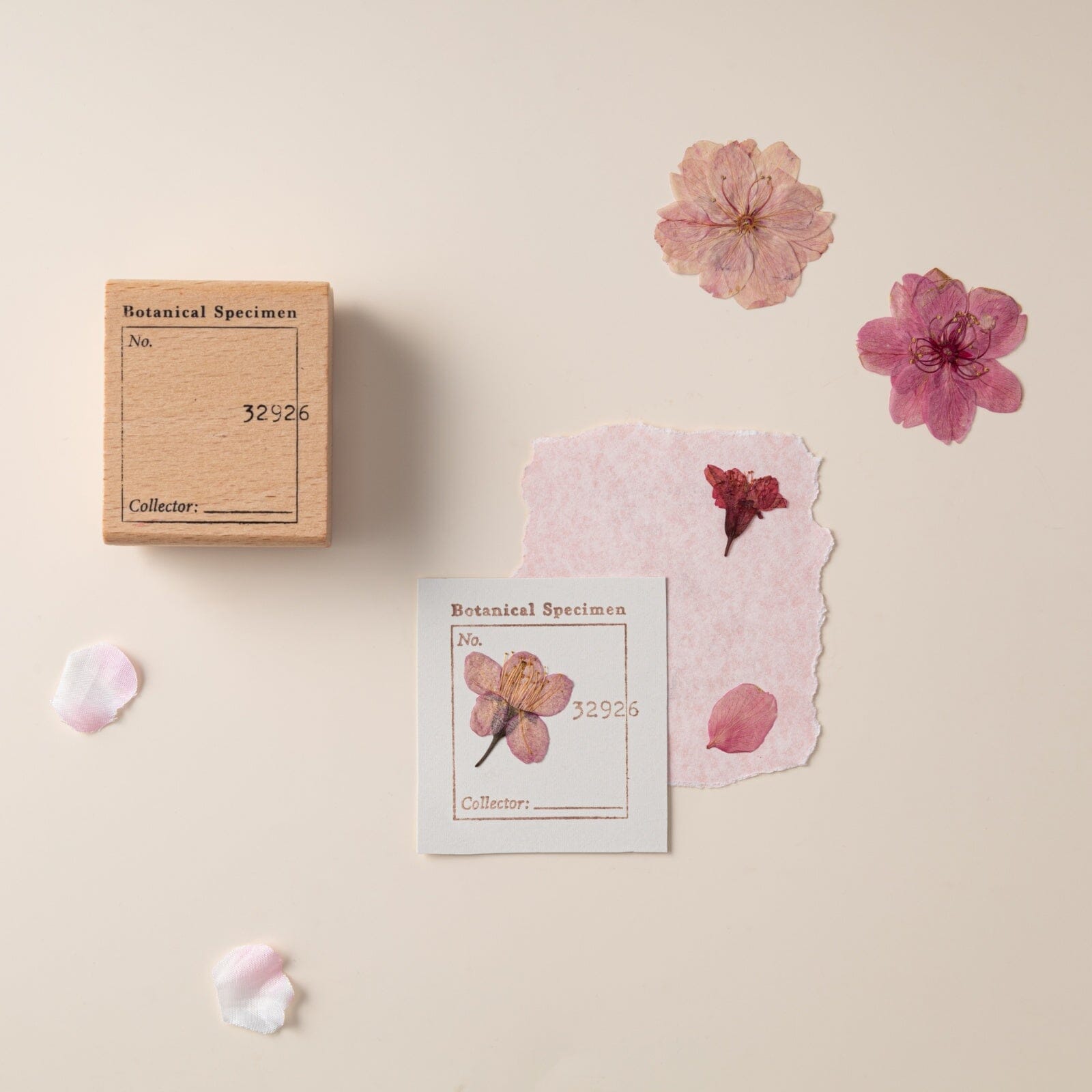 Hinoki - 'Into the Blossom' Wooden Stamps Set