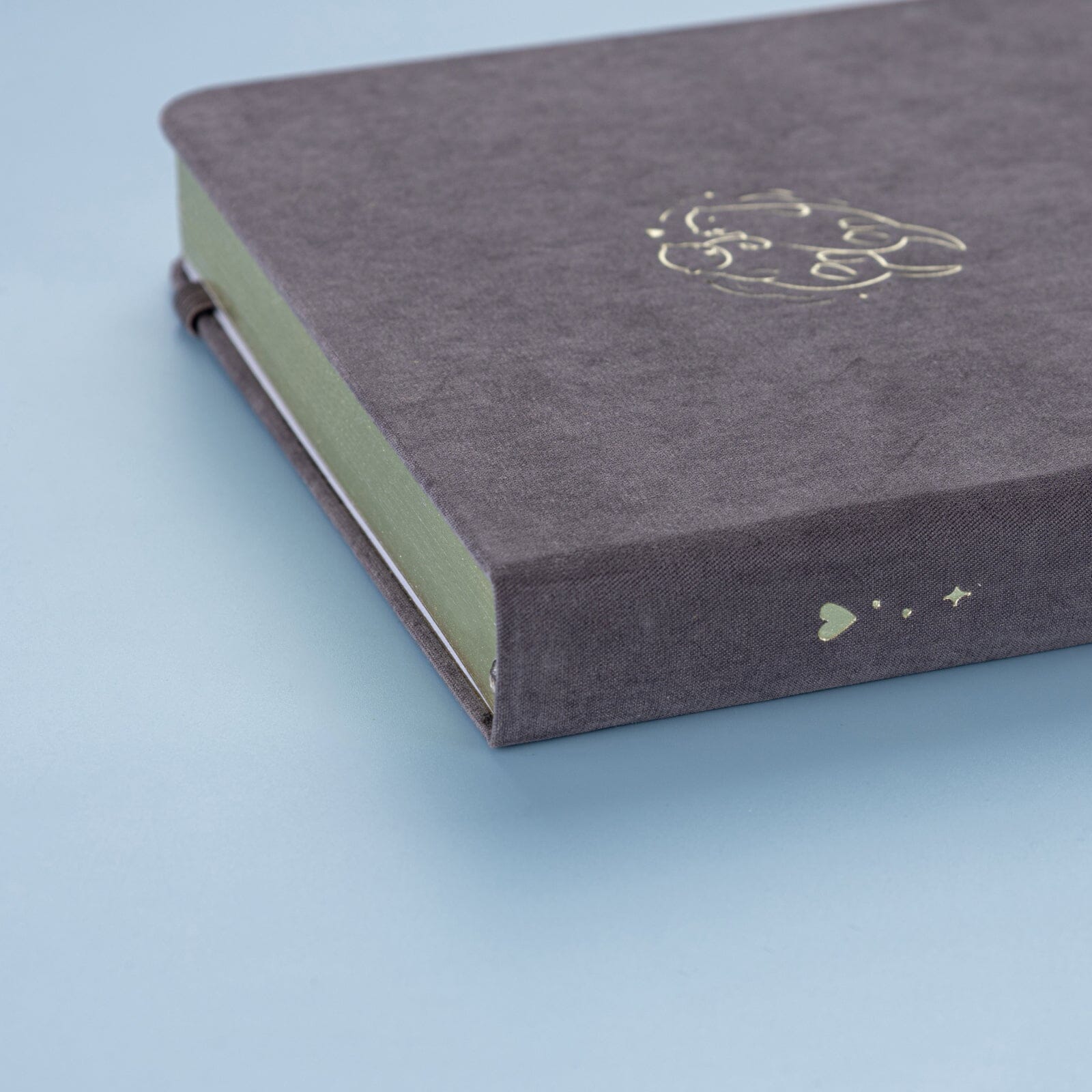 Tsuki 'Otter Friends' Limited Edition Bullet Journal ☾