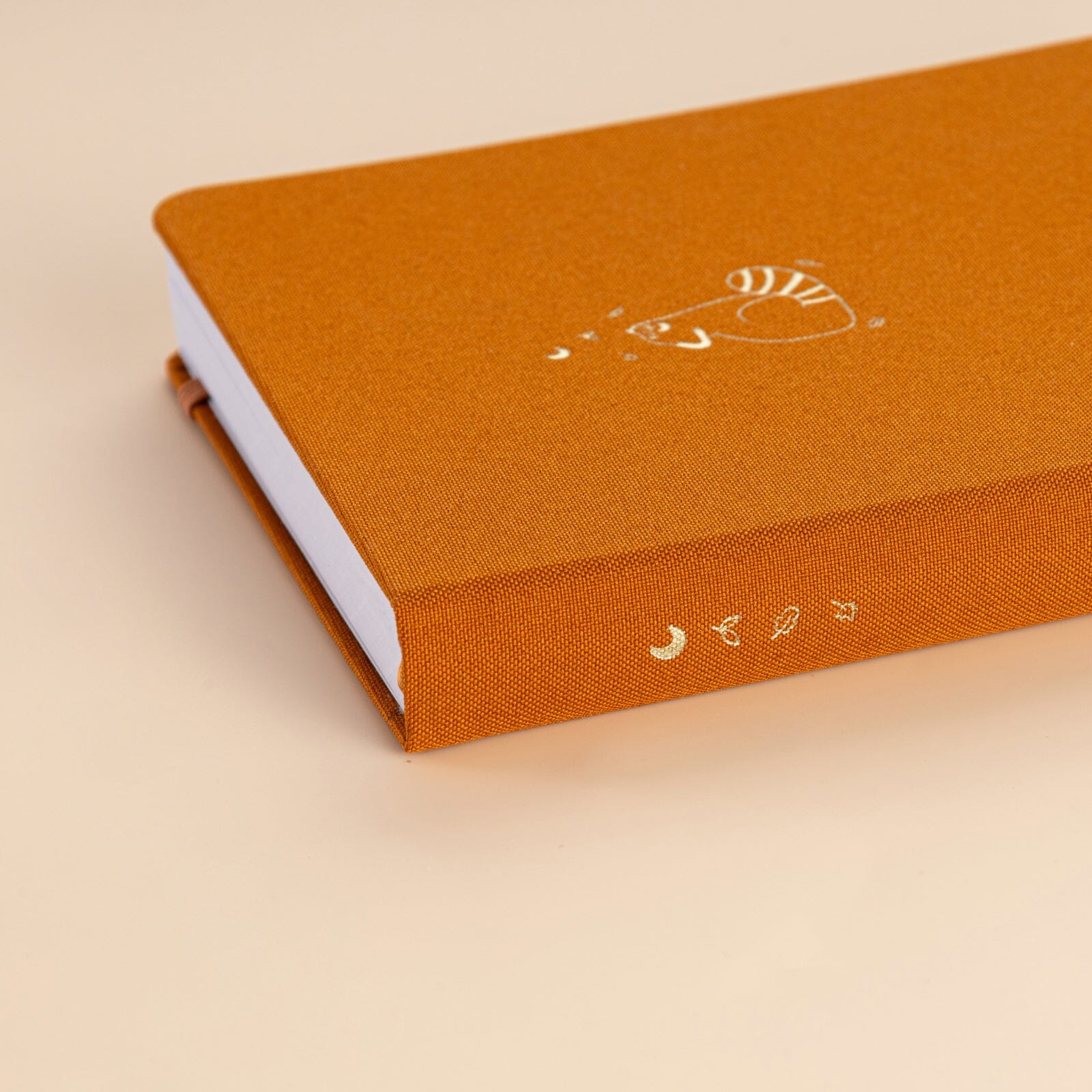 Tsuki 'Red Panda' Limited Edition A5 Bullet Journal ☾