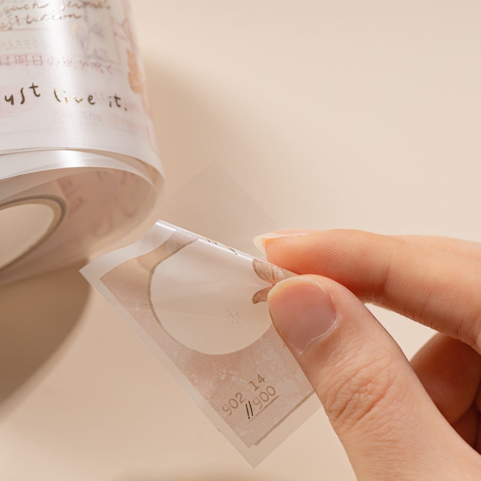 Hinoki - 'Into the Blossom' Decorative PET Tape Set