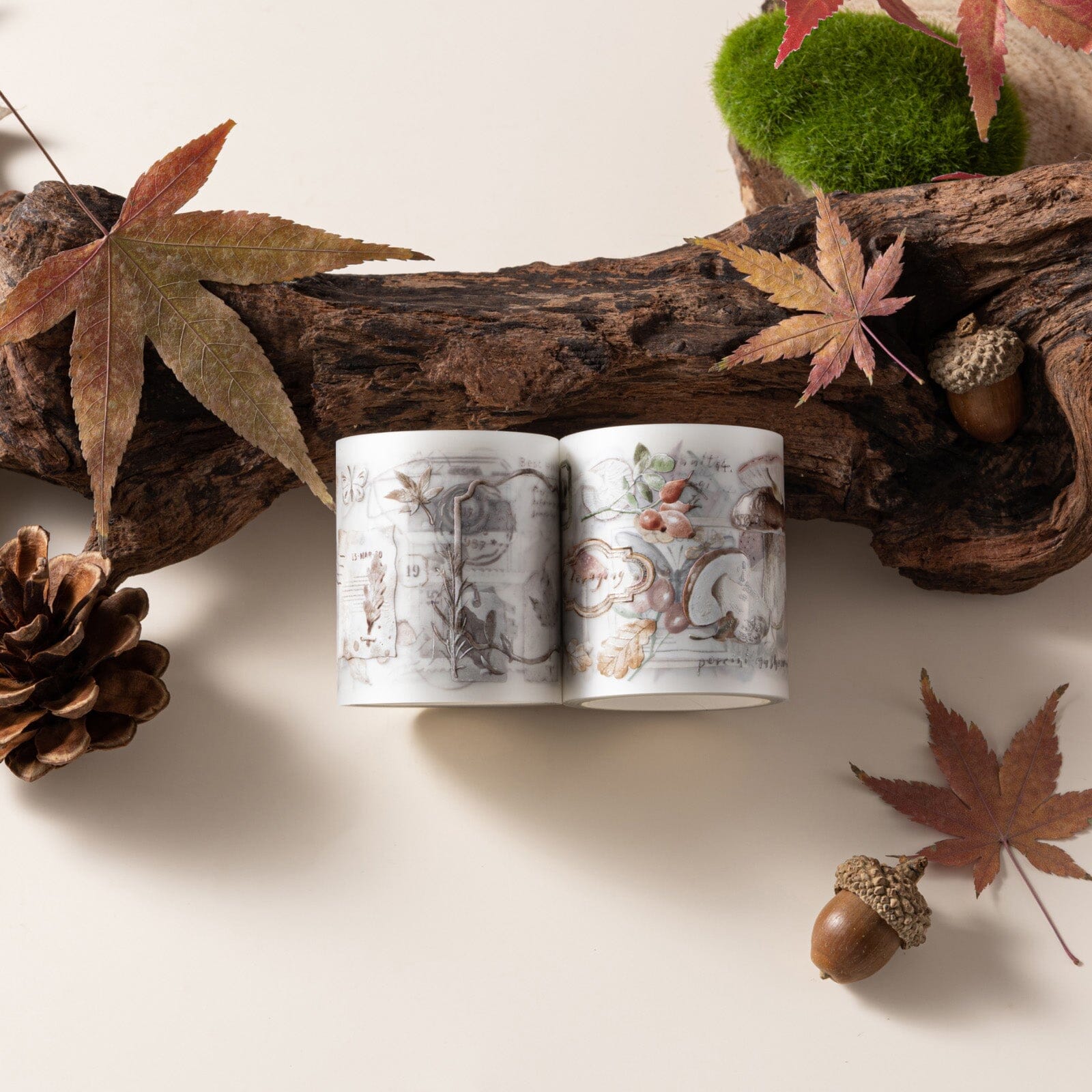 Hinoki - 'Into the Fall' Decorative PET Tape Set